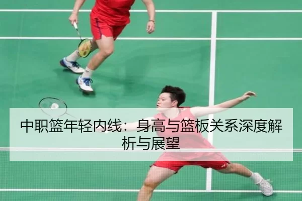 中职篮年轻内线：身高与篮板关系深度解析与展望